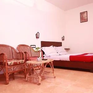Rays Thekkady